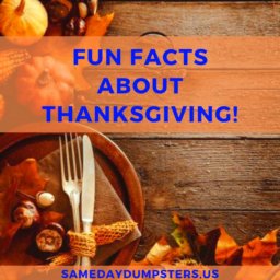 Fun Facts About Thanksgiving