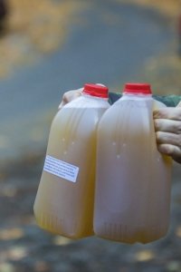 Multiple Jugs of Urine