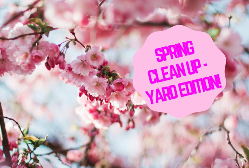 Spring Clean Up - Yard Edition