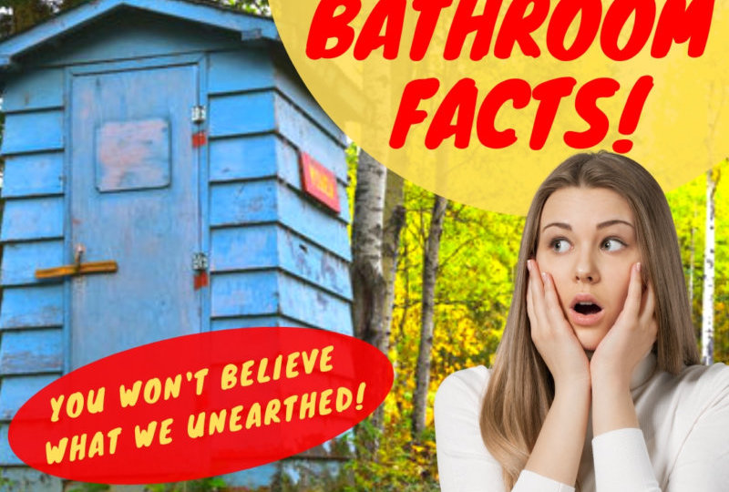Crazy Facts About Your Porcelain Throne