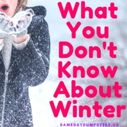 What You Dont Know About Winter